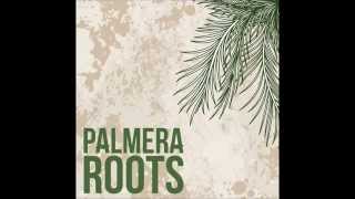 Palmera Roots -  Africa