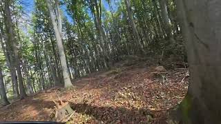 Singletrack Glacensis