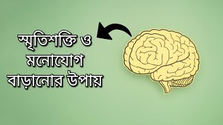 স্মৃতিশক্তি ও মনোযোগ বাড়ানোর উপায় । How to boost your memory and focus