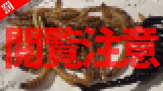 【閲覧注意】第2弾「お口の中身は何でしょね！」【ハングオーバー】