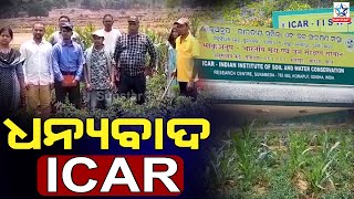 ICAR ଜ୍ଞ୍ୟାନ କୌଶଲ ଦ୍ୱାରା ଜଳ ସେଚନ କରି ଗ୍ରାମୀଣ ଚାଷୀ ଉପକୃତ || Koraput News ||