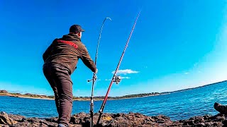 EXTREME Surfcasting (in VERY SHALLOW WATER in MALLORCA) THIS BUG STINGS ME IN -2 METERS OF WATER!