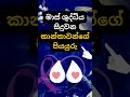 දන්නවද ඒවට වෙන දේ 😳😳. psychology education shorts