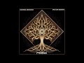 Poranguí – Ancestral Resonance Journey Mix