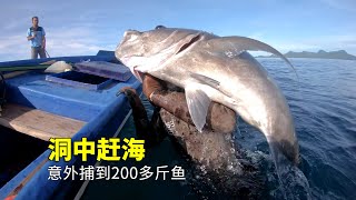 男人鑽進洞中趕海，意外發現魚窩，狂捕200多斤大魚！