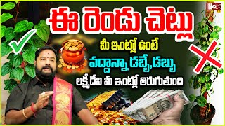 ఈ రెండు చెట్టు ఈ ఇంట్లో ఉంటే డ‌బ్బే డ‌బ్బు | Lucky Plants For Home | @NoxTVBhakthi