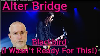 Alter Bridge - Blackbird (Live @ Wembley 2011) - Margarita Kid Reacts!