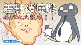 森林大火襲來！差點被燒燬！｜鵝肉麵的美國故事