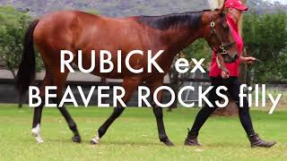 Rubick ex Beaver Rocks filly