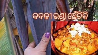 ଦେଶୀ ରାନ୍ଧଣା ବୁଟ ଡାଲି ଦେଇ ମାଂସ ତରକାରୀ ପରି କଦଳୀ ଫୁଲ ଛେଁଚକି ।ଥରେ ବନେଇ ଖାଇ ଦେଖନ୍ତୁ ନିଶ୍ଚୟ ପସନ୍ଦ ଆସିଵ ।