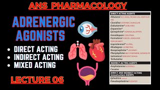 Adrenergic Agonists - Sympathomimetic Drugs - Direct Acting \u0026 indirect acting - ANS Pharmacology L6