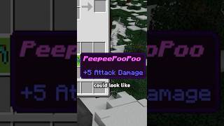 Secret COLORED TEXT in Minecraft!🤫