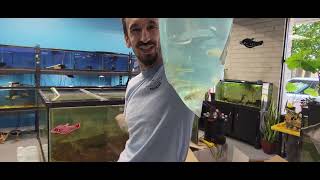 Large Unboxing with Dan & Megan at Boggs Aquatics!  Crazy New Catfish!