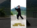 太极拳打手，沾粘连随，不顶不丢 taijiquan kungfu 太極拳