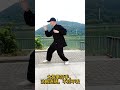 太极拳打手，沾粘连随，不顶不丢 taijiquan kungfu 太極拳