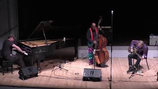 Thollem McDonas, Nels Cline, William Parker @ Roulette 11-12-18