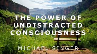 Michael Singer - The Power of Undistracted Consciousness