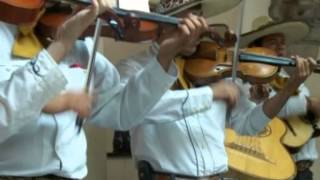 Música Mariachi Tradicional Mexicano / Traditional Mexican Mariachi Music