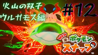 【図鑑説明付き】Newポケモンスナップ実況♯12/火山の双子ウルガモス編