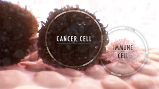 Immunotherapy for Cancer: What It Is and Why It’s Used