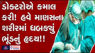 Pig Heart Transplant to Human! ડોક્ટરોએ કમાલ કરી! માણસના શરીરમાં ડુક્કરનું હૃદય બેસાડ્યું!