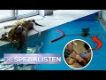 Stromschlag im Pool ⚡ Mutter findet ihre Töchter LEBLOS im Wasser vor 😱 | Die Spezialisten | SAT.1