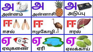 Uyireluthukkal/உயிர் எழுத்த்க்கள்/ அஆஇஈ/ Tamil Alphabets for kids @PEEKABOO-ff8wq