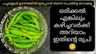 പച്ചമുളകും പുളിയും ഉണ്ടോ? വയറ് നിറയെ ചോറുണ്ണാൻ ഈ ഒരു കറി മാത്രം മതി👌😋