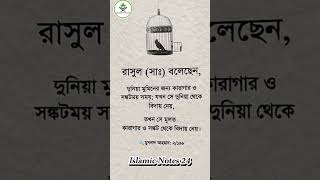 মুমিনদের জন্য দুনিয়া হচ্ছে কারাগার।#islamicshorts#foryou #youtube #motivational