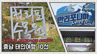 충남 태안여행 10선 - 만리포해수욕장, 천리포수목원 목련축제, 천리포해수욕장, 천리포횟집, 안면도 꽃지해변 갯벌, 안면암 벚꽃 홍매화, 아재밥상 맛집, 태안동부 서부시장 전통시장