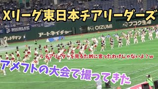 ハーフタイムショー チアガール 2019 パールボウル決勝 オービックシーガルズ対IBM Big Blue