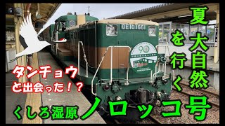 釧路湿原 ノロッコ号 2021 緑まぶしい夏風景と飛び立つ タンチョウ 釧路－塘路(往復)