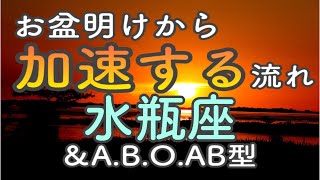 【水瓶座】お盆明けから加速する流れ　せせらぎが川となり大海へ続いていく#占い #星座占い #水瓶座