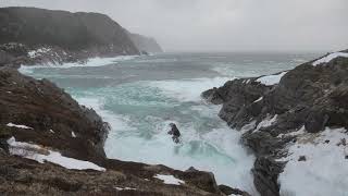 Logy Bay 4K - March 22 2023 1