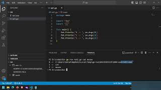 [3] Command Line Arguments in GO | How to take input from command line in GO | GO Fundamentals 3