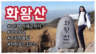 [등산vlog] 창녕화왕산 | 5만평억새군락지 | 등산코스추천  | 주차장팁 | 전남구례등산객깜짝출연