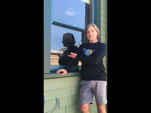 Do window decals prevent bird strikes?