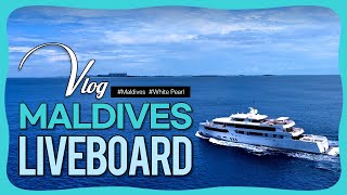 [ENG SUB] 몰디브 VLOG 리브어보드 EP.01 | #maldives  #현지인  #scubadiving #liveaboard  #DIVEBNB #whitepearl