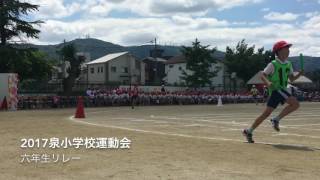 2017 泉小学校 六年生リレー