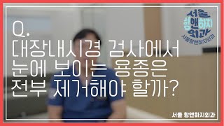 대장내시경 검사에서 눈에 보이는 용종은 전부 제거 해야할까? |  서울항앤하지외과