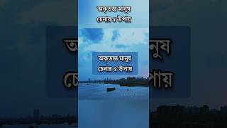 অকৃতজ্ঞ মানুষ চেনার ৫ উপায় #anisulislamofficial #motivational #viral