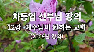 12강. 차동엽 신부님 강의 12강,예수님이 원하는 교회- 여기에 물이 (2009년 강의)