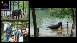 அமைதியான இயற்கை சூழலில் யானைகள் சரணாலயம் | Kottoor Elephant Rehabilitation Centre  | Ecotourism