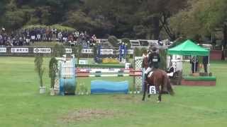 平成24年度　全日本学生　学生賞典障碍飛越競技1走目　３年　木崎翔太　桜春