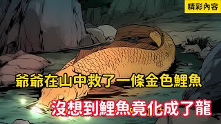 《爺爺在山中救了一條金色鯉魚，沒想到鯉魚竟化成了龍》大雨後爺爺在山中水邊，救了一條金色鯉魚，沒曾想鯉魚竟在晚上給爺爺拖了夢……#漫画解说