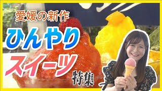 ひんやりスイーツ特集！あのアイスも登場🍧【Jチャンえひめ特集】