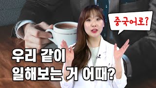 [중국어로 권유하기] 우리 같이 일해보는 거 어때?