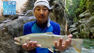 大イワナ・野獣魚伝説2