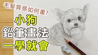 小狗鉛筆畫法一學就會/毛髮質感如何畫?素描教學【屯門畫室】drawing tutorial dog