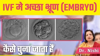 IVF में अच्छा भ्रूण ( EMBRYO ) कैसे चुना जाता है ? |  Day 5 EMBRYO Transfer Process in IVF